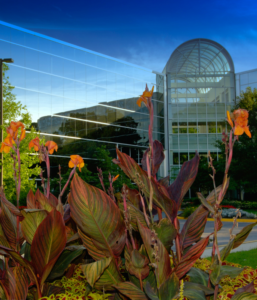 Commercial Landscaping