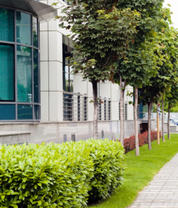 Commercial Lawn Care